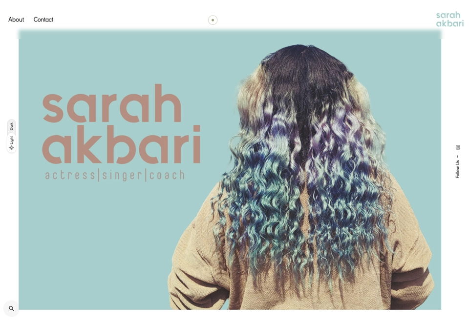 Sarah Akbari website